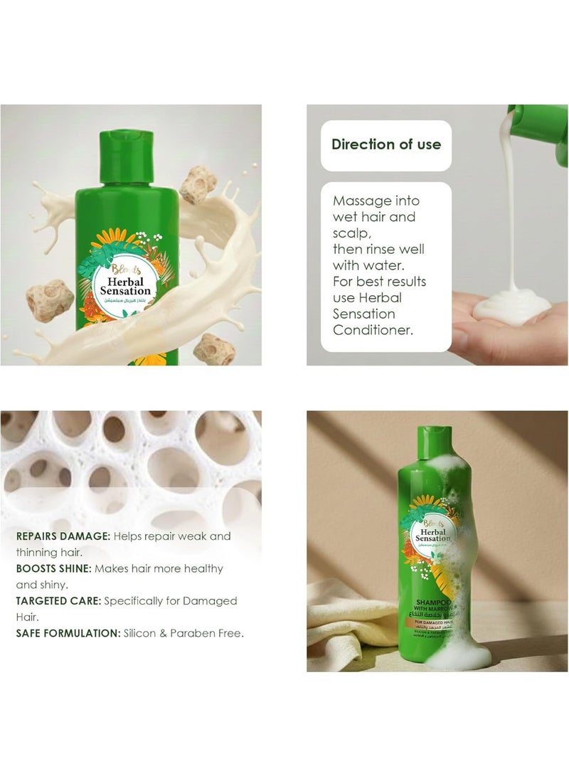 Blends Herbal Sensation Shampoo with Plant Marrow for Damaged Hair - Repairs Weak & Thinning Hair - Silicon & Paraben Free - 850 ml - Image 2